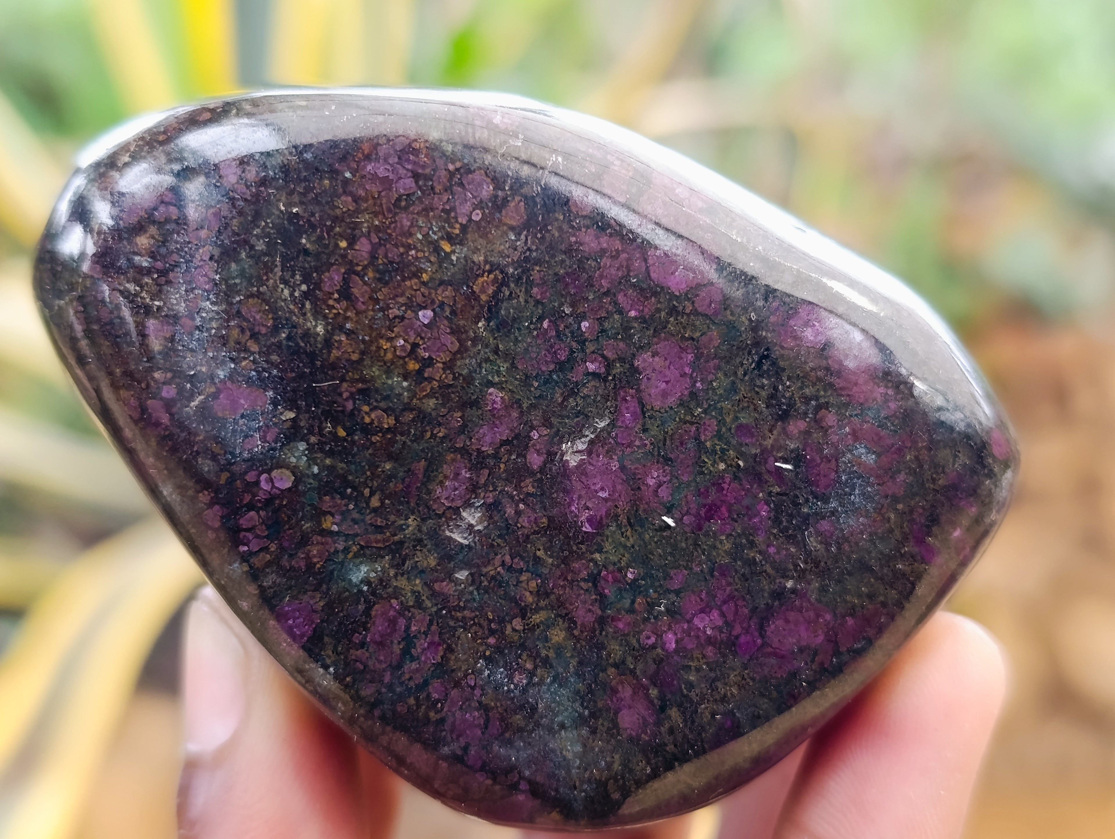 Polished Ruby Corundum In Chrome Verdite Free Forms x 6 From Zimbabwe - Toprock Gemstones and Minerals 