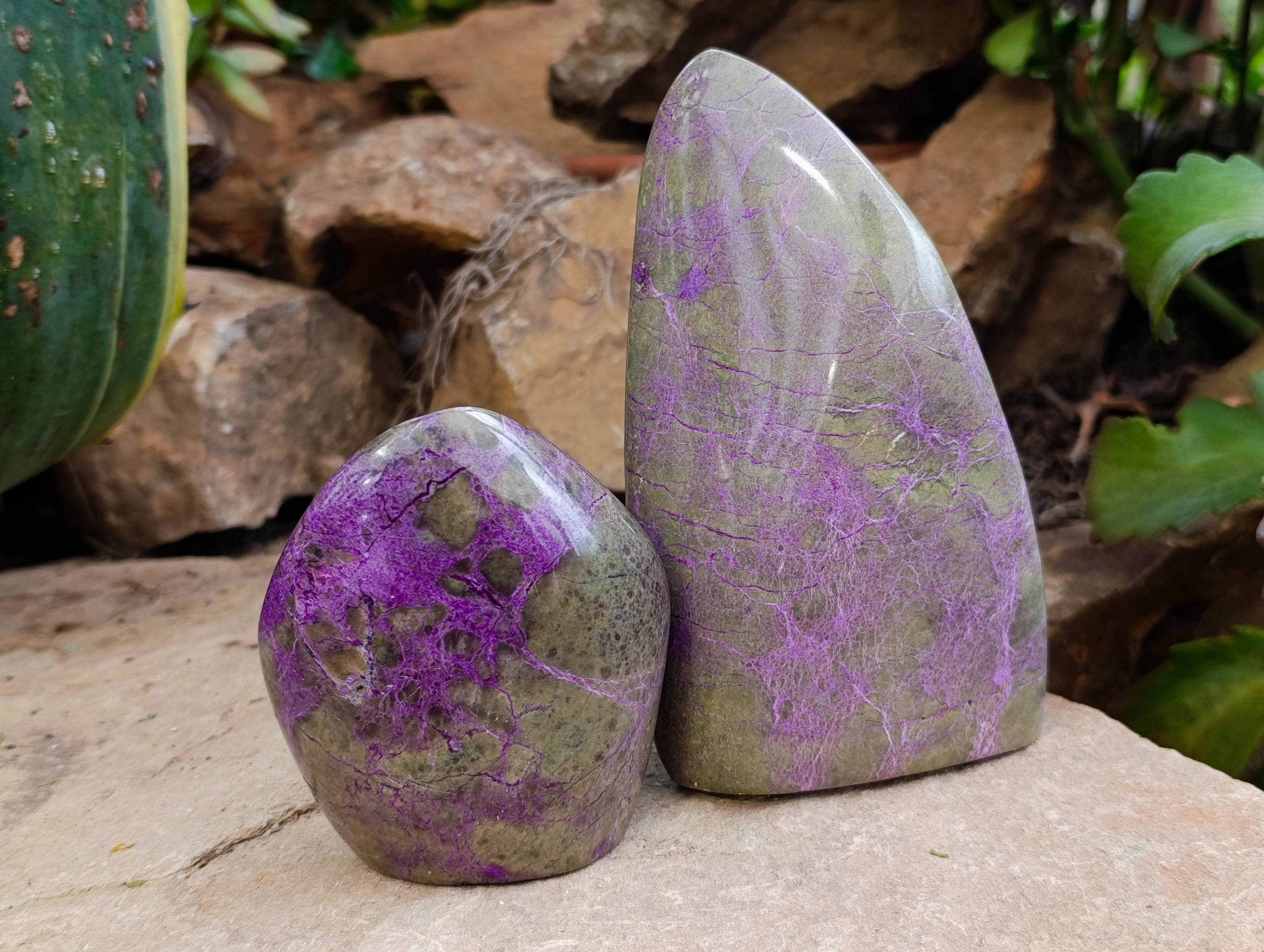 Polished Stichtite Standing Free Forms x 2 From Barberton, South Africa - Toprock Gemstones and Minerals 
