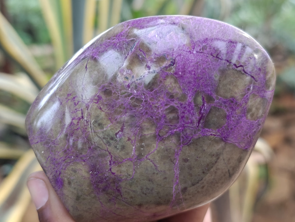 Polished Stichtite Standing Free Forms x 2 From Barberton, South Africa - Toprock Gemstones and Minerals 