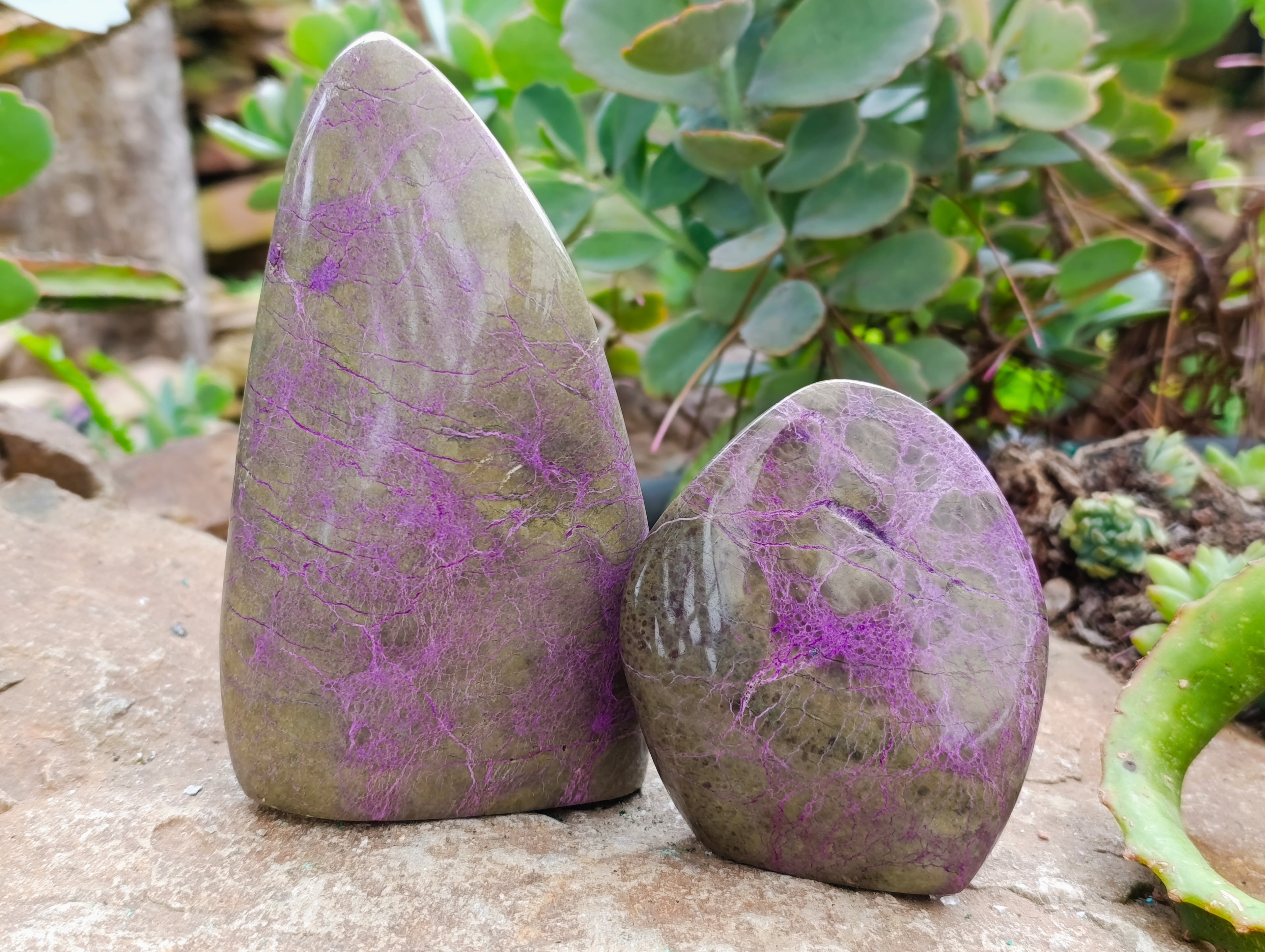 Polished Stichtite Standing Free Forms x 2 From Barberton, South Africa - Toprock Gemstones and Minerals 