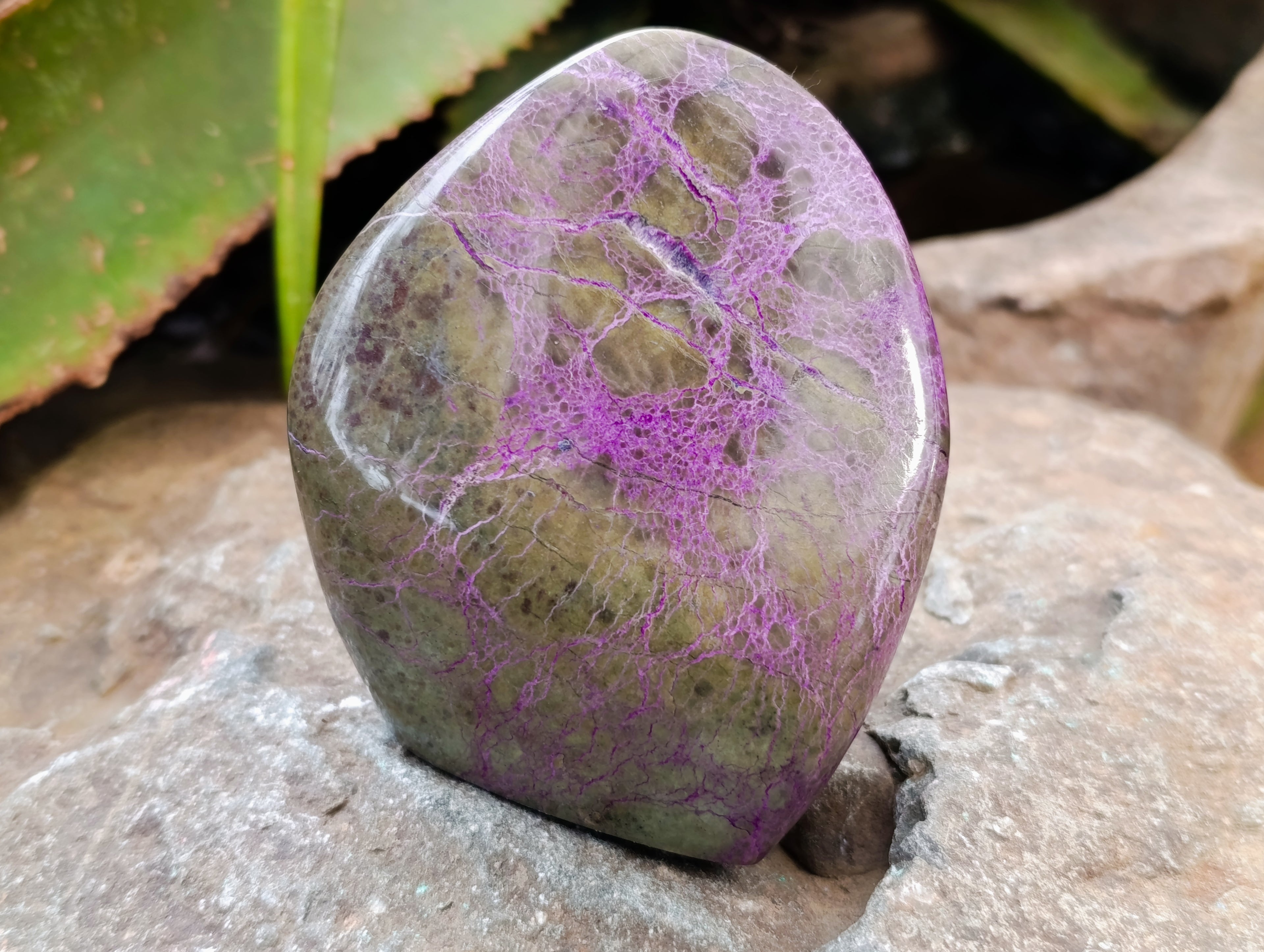Polished Stichtite Standing Free Forms x 2 From Barberton, South Africa - Toprock Gemstones and Minerals 