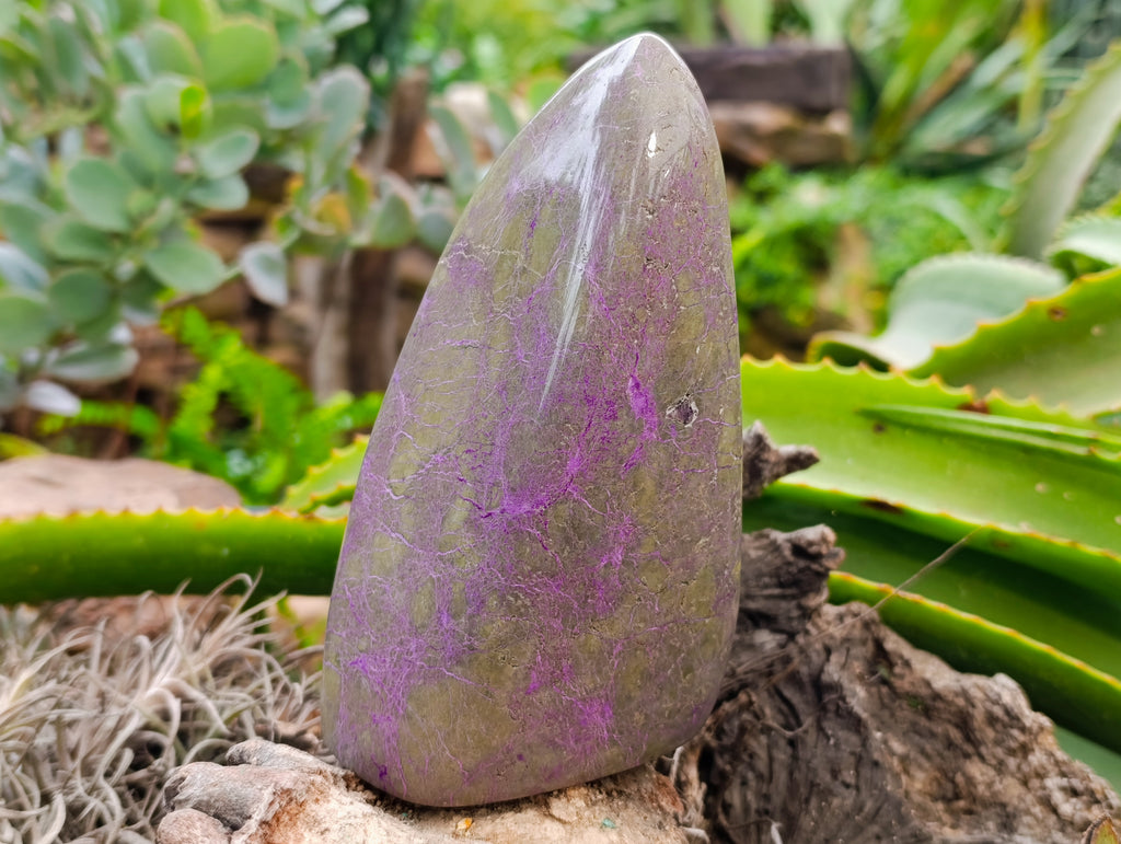 Polished Stichtite Standing Free Forms x 2 From Barberton, South Africa - Toprock Gemstones and Minerals 