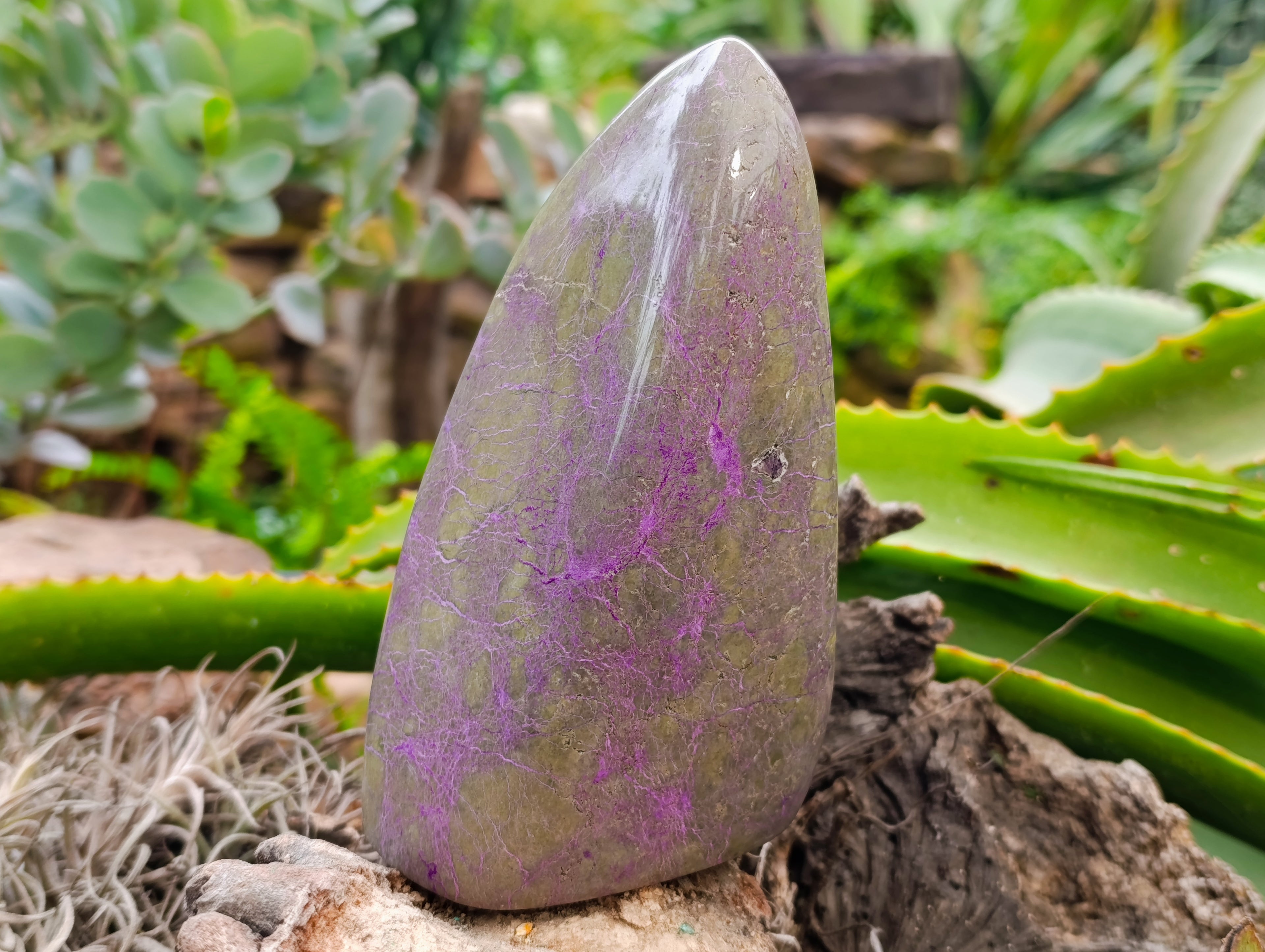 Polished Stichtite Standing Free Forms x 2 From Barberton, South Africa - Toprock Gemstones and Minerals 