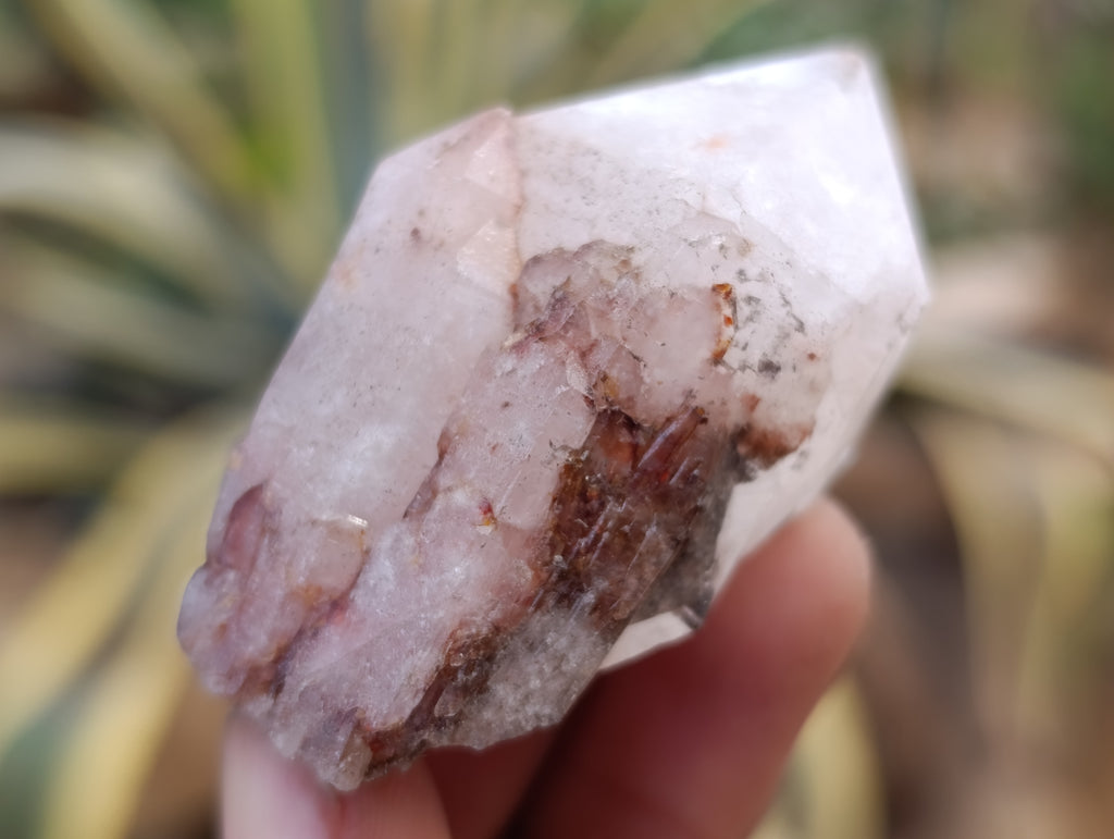 Natural Pineapple Candle Quartz Crystals x 37 From Antsirabe, Madagascar - Toprock Gemstones and Minerals 