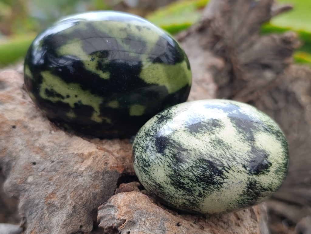 Polished Leopard Stone Palm Stones x 12 From Nyanga, Zimbabwe - Toprock Gemstones and Minerals 