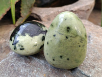 Polished Leopard Stone Palm Stones x 12 From Nyanga, Zimbabwe - Toprock Gemstones and Minerals 
