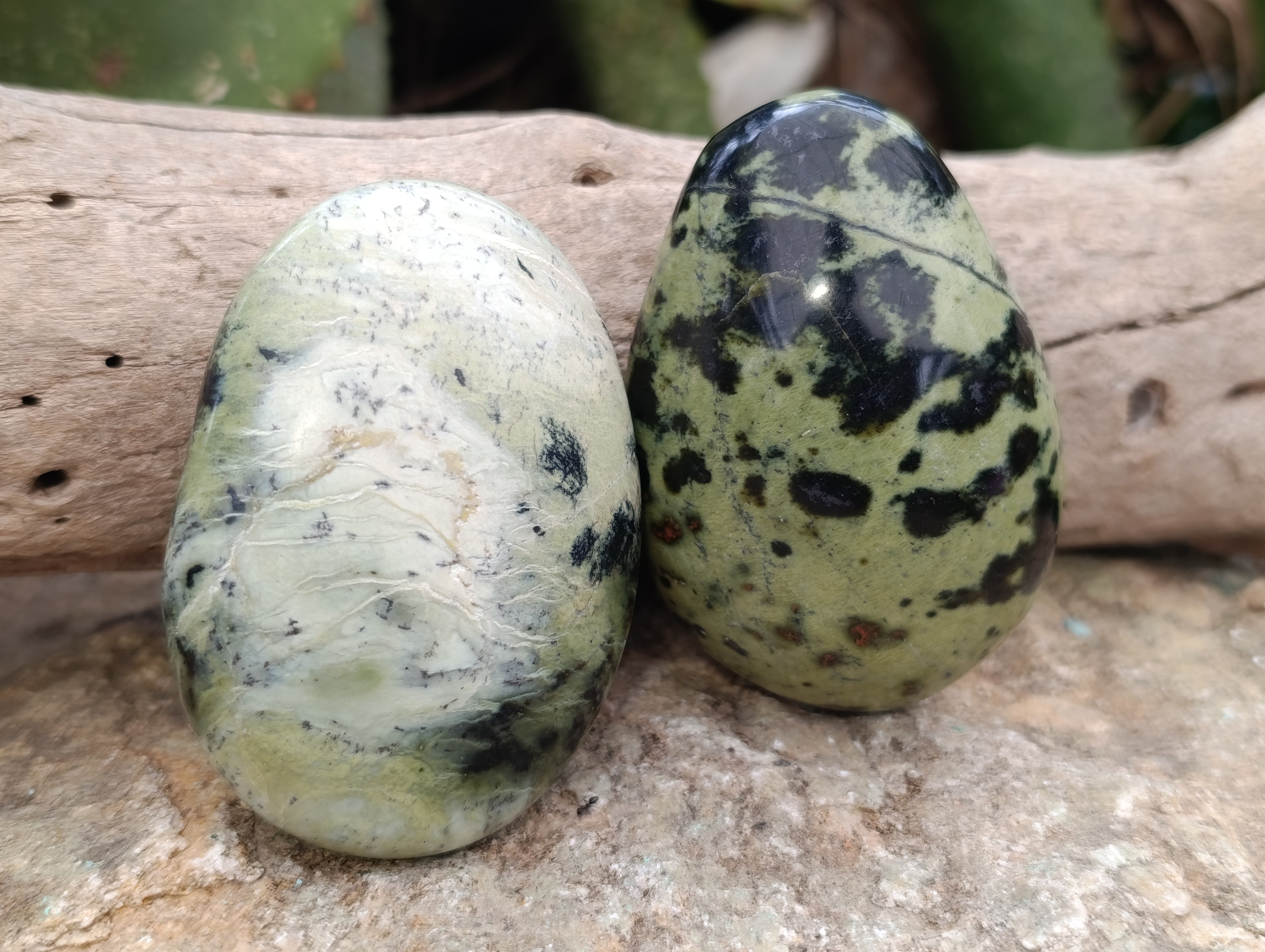 Polished Leopard Stone Palm Stones x 12 From Nyanga, Zimbabwe - Toprock Gemstones and Minerals 