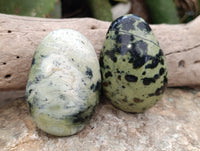 Polished Leopard Stone Palm Stones x 12 From Nyanga, Zimbabwe - Toprock Gemstones and Minerals 