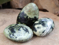 Polished Leopard Stone Palm Stones x 12 From Nyanga, Zimbabwe - Toprock Gemstones and Minerals 