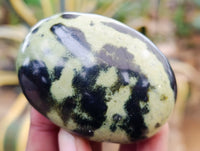 Polished Leopard Stone Palm Stones x 12 From Nyanga, Zimbabwe - Toprock Gemstones and Minerals 