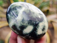 Polished Leopard Stone Palm Stones x 12 From Nyanga, Zimbabwe - Toprock Gemstones and Minerals 