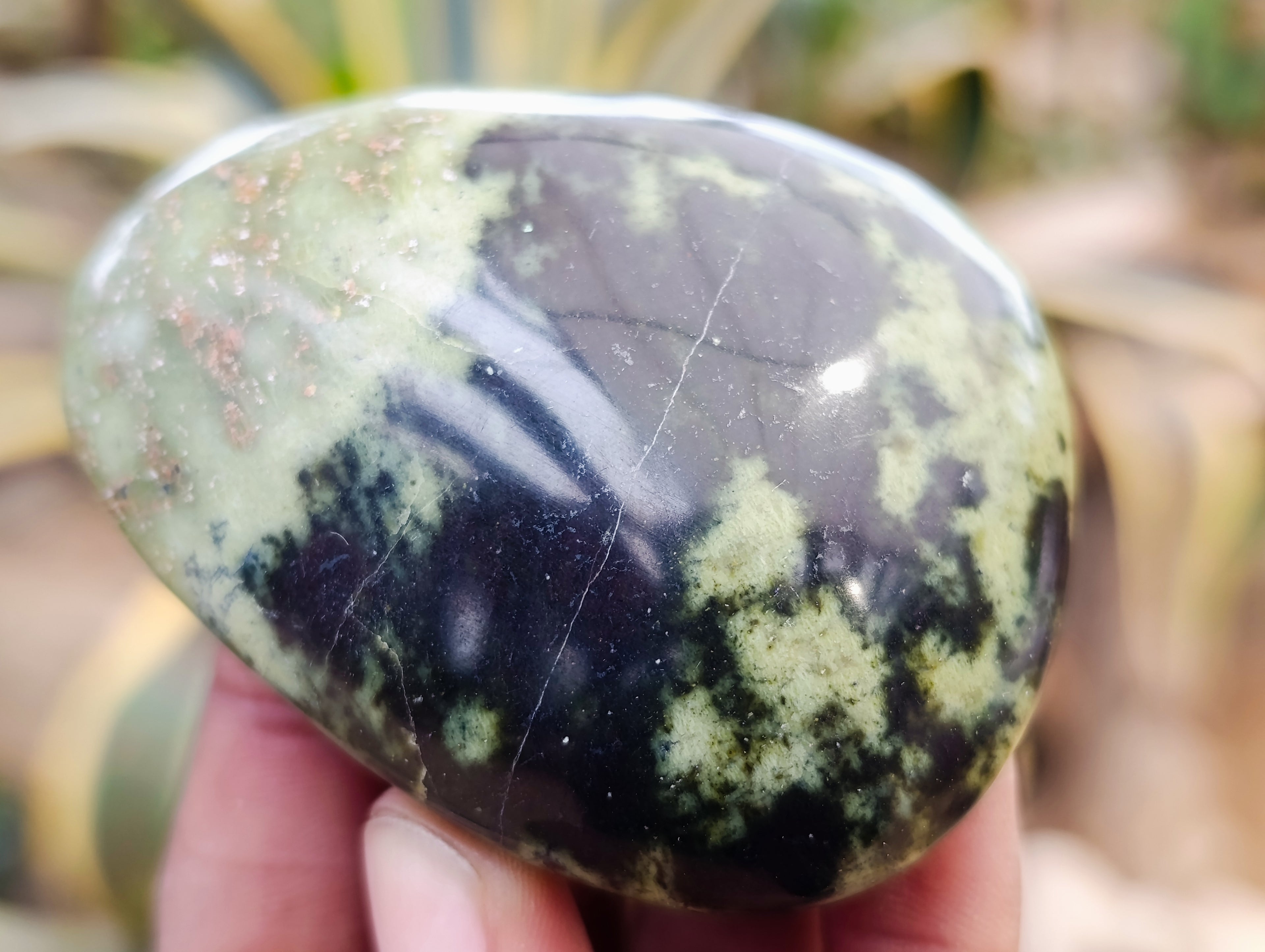 Polished Leopard Stone Palm Stones x 12 From Nyanga, Zimbabwe - Toprock Gemstones and Minerals 