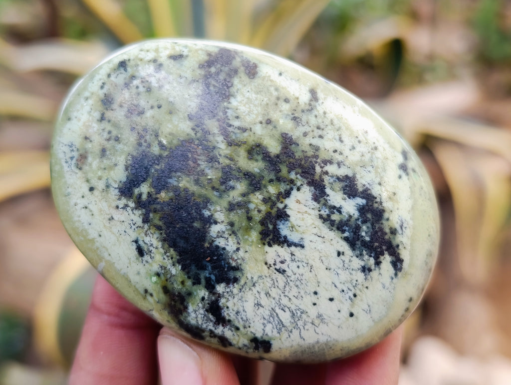 Polished Leopard Stone Palm Stones x 12 From Nyanga, Zimbabwe - Toprock Gemstones and Minerals 