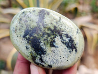 Polished Leopard Stone Palm Stones x 12 From Nyanga, Zimbabwe - Toprock Gemstones and Minerals 