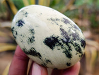 Polished Leopard Stone Palm Stones x 12 From Nyanga, Zimbabwe - Toprock Gemstones and Minerals 