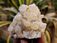 Natural Limonite Quartz Clusters x 21 From Solwezi, Zambia - Toprock Gemstones and Minerals 