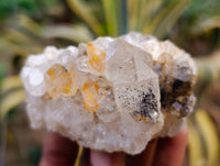 Natural Limonite Quartz Clusters x 21 From Solwezi, Zambia - Toprock Gemstones and Minerals 