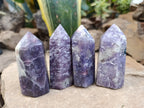 Polished Lepidolite Points x 12 From Vakinankaratra, Madagascar - Toprock Gemstones and Minerals 