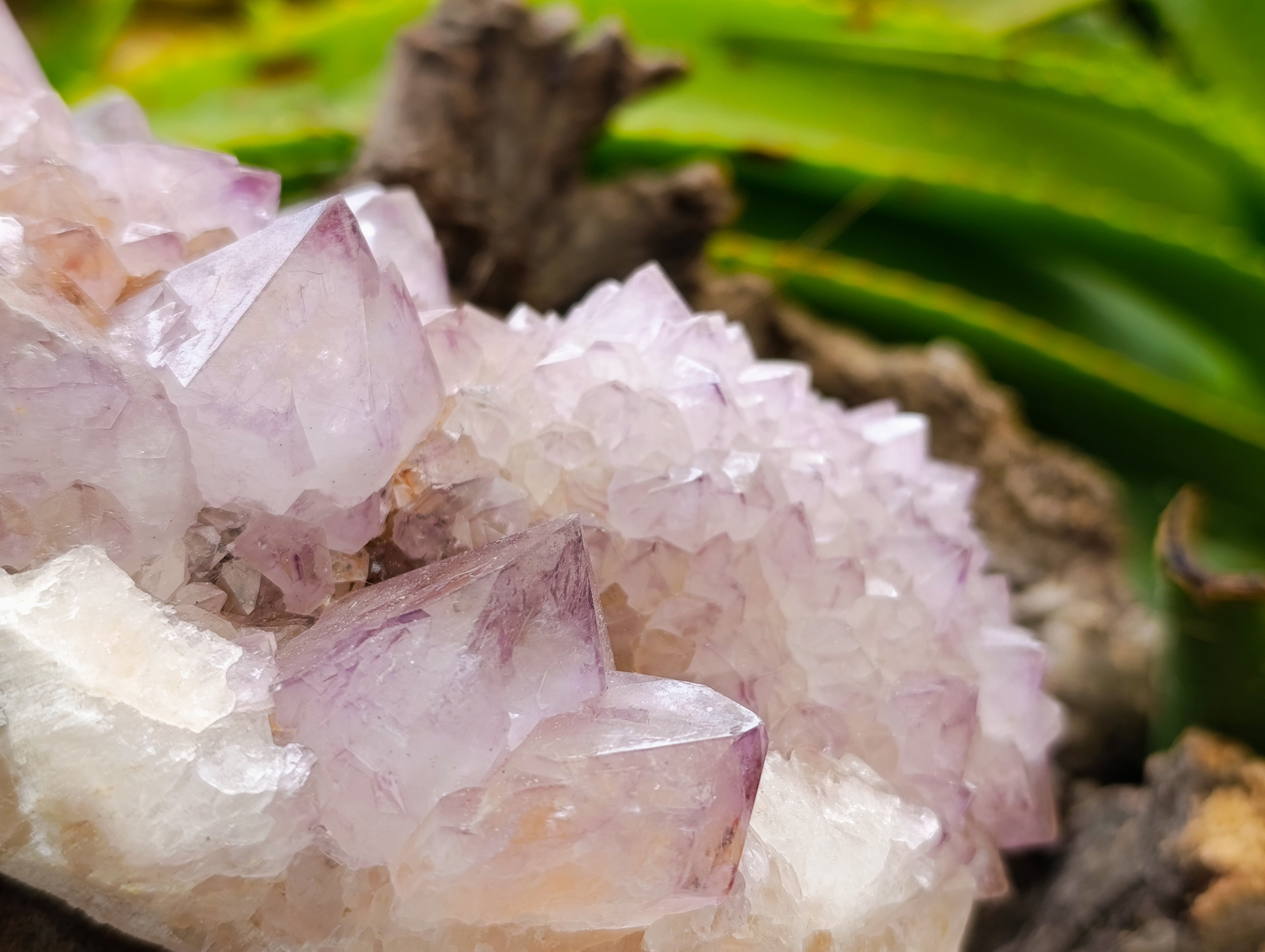 Natural Ametrine Spirit Quartz Clusters x 2 From Boekenhouthoek, South Africa - Toprock Gemstones and Minerals 