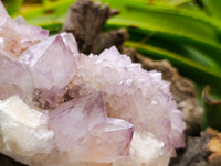 Natural Ametrine Spirit Quartz Clusters x 2 From Boekenhouthoek, South Africa