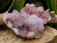 Natural Ametrine Spirit Quartz Clusters x 2 From Boekenhouthoek, South Africa