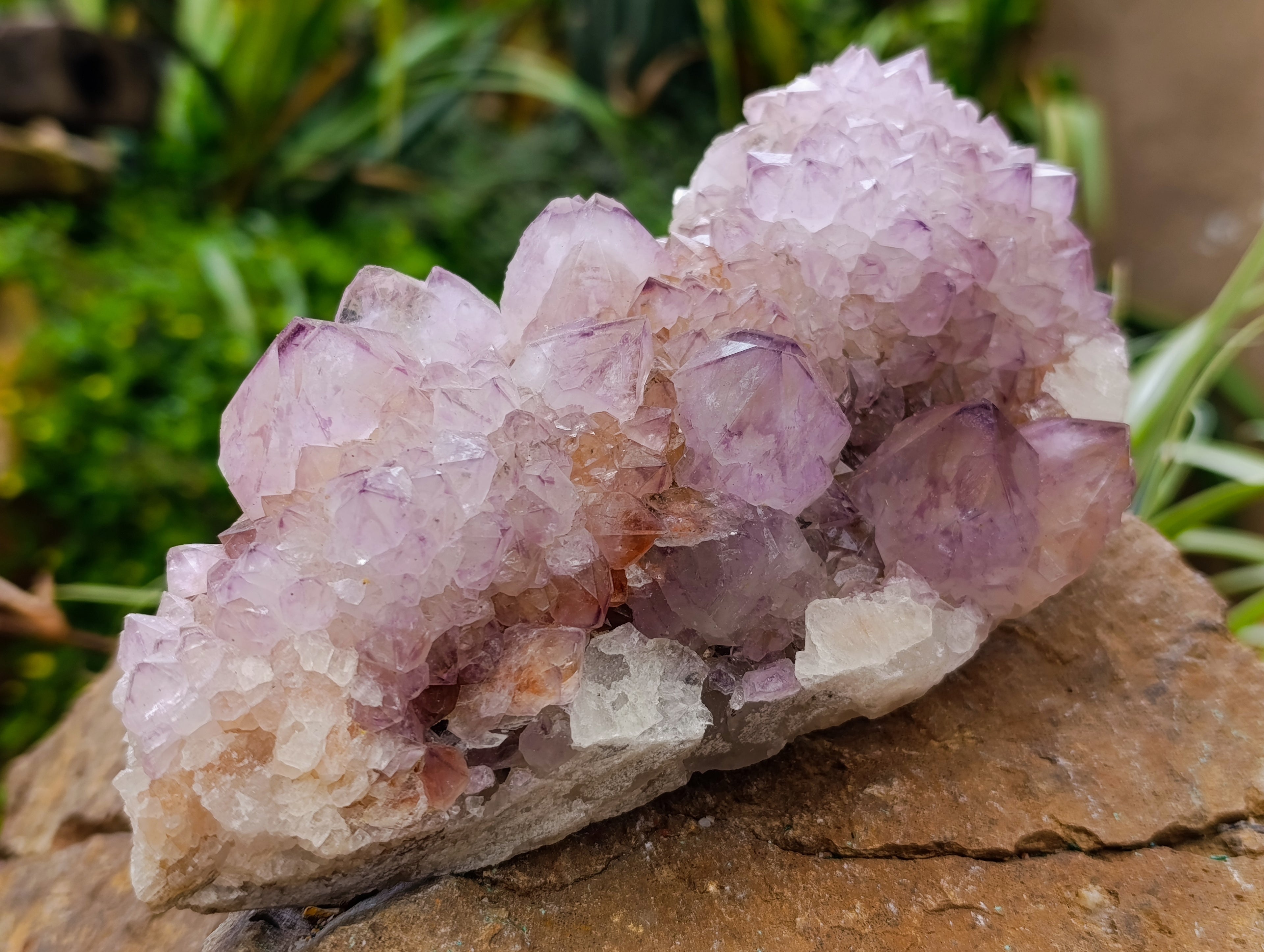Natural Ametrine Spirit Quartz Clusters x 2 From Boekenhouthoek, South Africa - Toprock Gemstones and Minerals 
