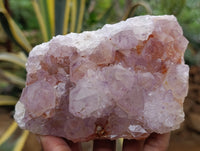 Natural Ametrine Spirit Quartz Clusters x 2 From Boekenhouthoek, South Africa