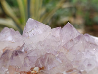 Natural Ametrine Spirit Quartz Clusters x 2 From Boekenhouthoek, South Africa