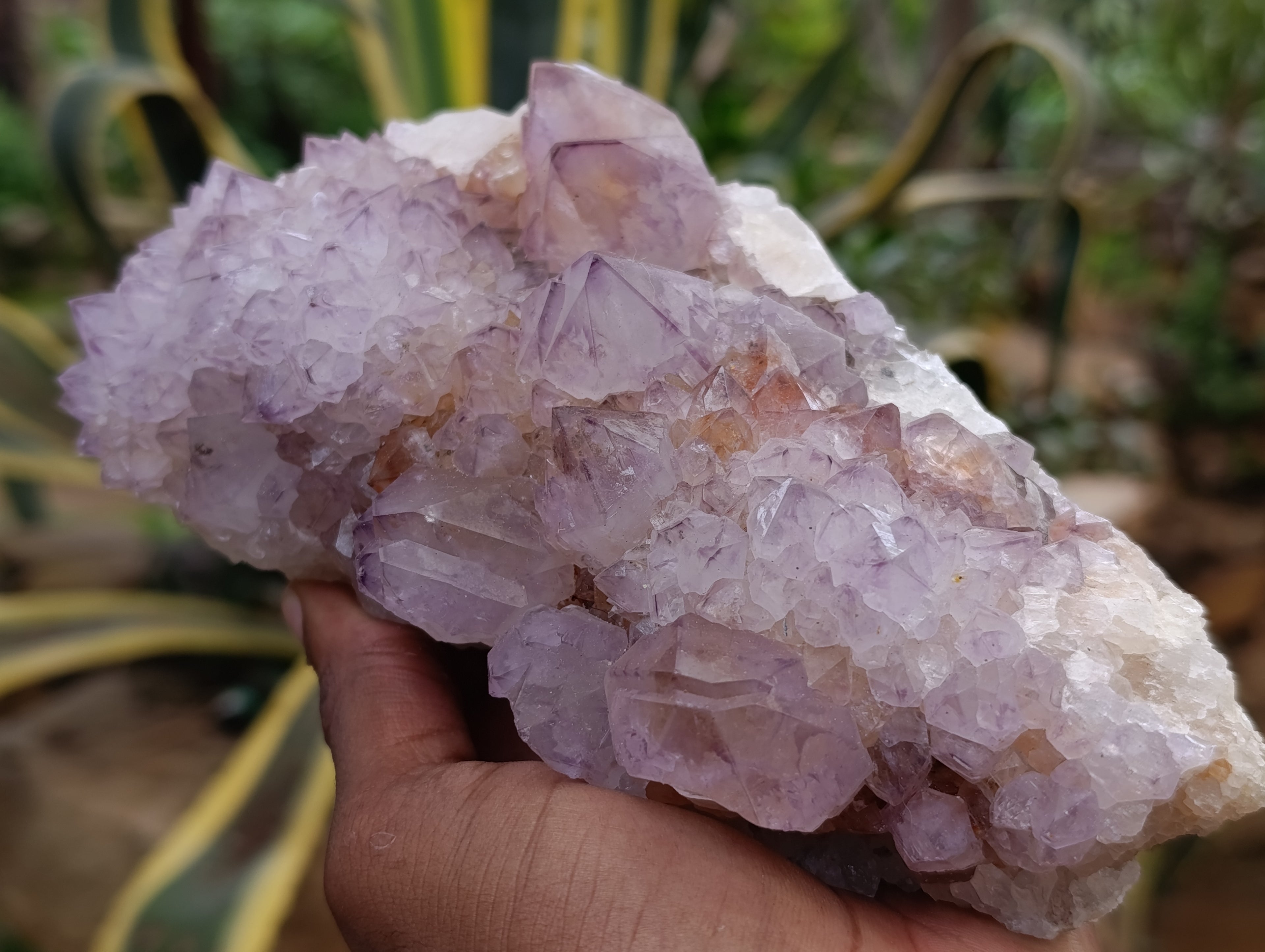 Natural Ametrine Spirit Quartz Clusters x 2 From Boekenhouthoek, South Africa - Toprock Gemstones and Minerals 