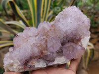 Natural Ametrine Spirit Quartz Clusters x 2 From Boekenhouthoek, South Africa
