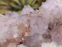 Natural Ametrine Spirit Quartz Clusters x 2 From Boekenhouthoek, South Africa