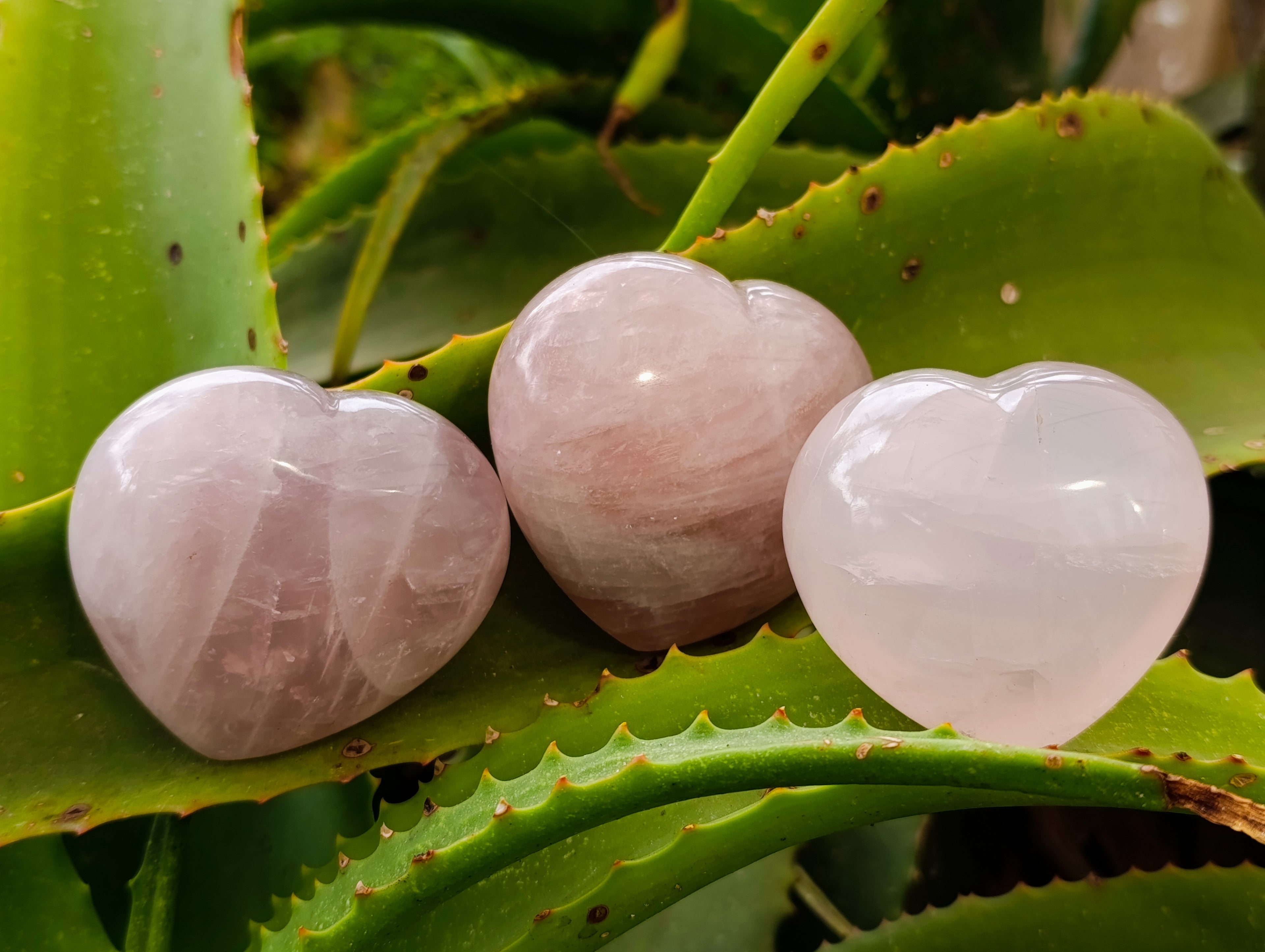 Polished Rose Quartz Hearts x 6 From Ambatondrazaka, Madagascar - Toprock Gemstones and Minerals 
