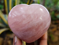 Polished Rose Quartz Hearts x 6 From Ambatondrazaka, Madagascar