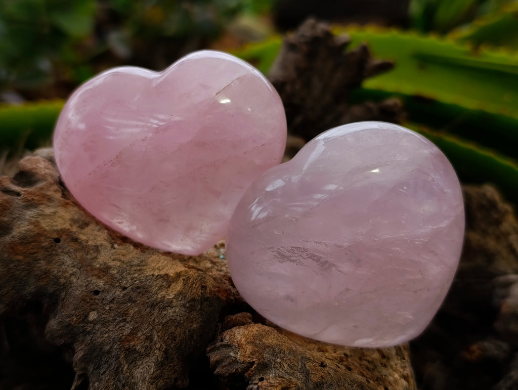 Polished Rose Quartz Hearts x 6 From Ambatondrazaka, Madagascar - Toprock Gemstones and Minerals 