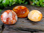 Polished Carnelian Palm Stones x 14 From Madagascar - Toprock Gemstones and Minerals 