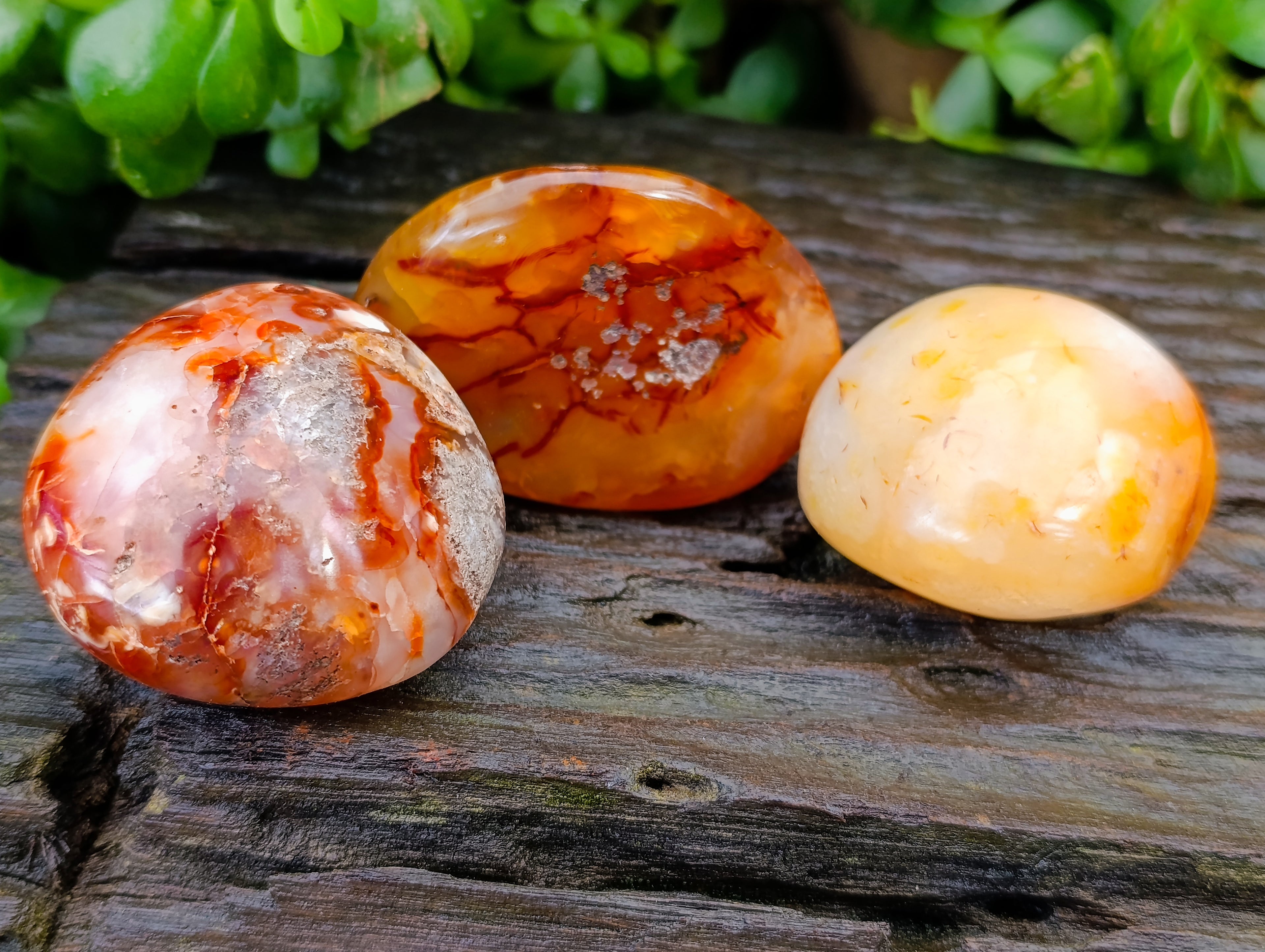 Polished Carnelian Palm Stones x 14 From Madagascar - Toprock Gemstones and Minerals 