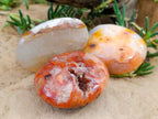 Polished Carnelian Palm Stones x 14 From Madagascar - Toprock Gemstones and Minerals 