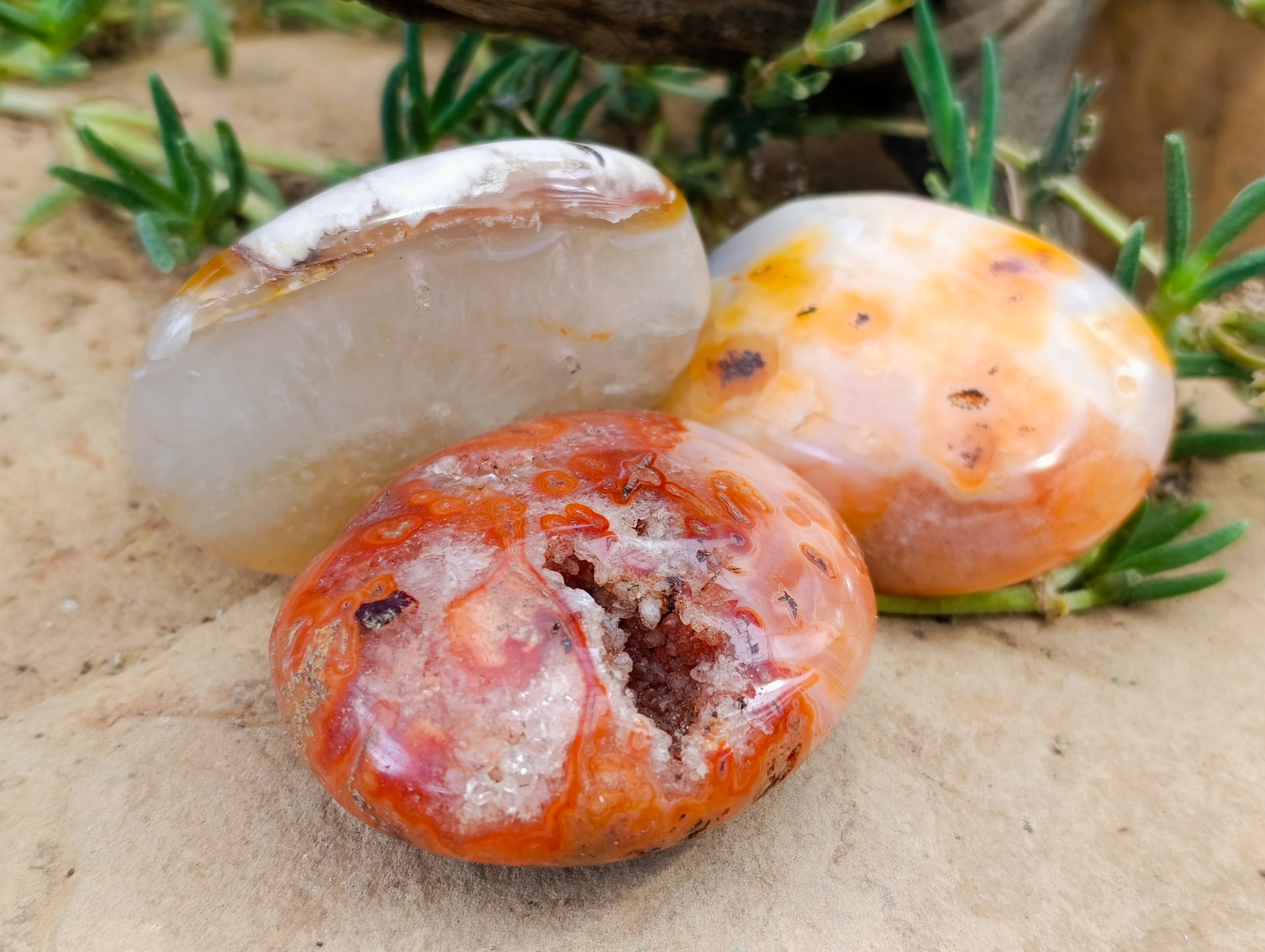 Polished Carnelian Palm Stones x 14 From Madagascar - Toprock Gemstones and Minerals 