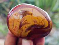 Polished Carnelian Palm Stones x 14 From Madagascar