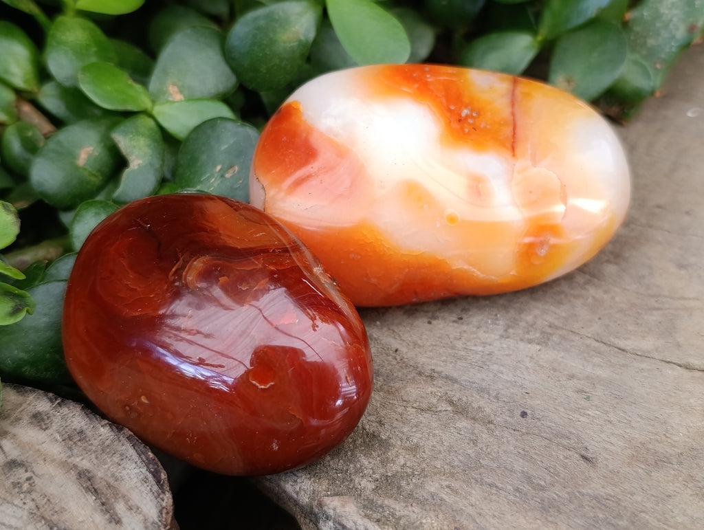 Polished Carnelian Palm Stones x 14 From Madagascar - Toprock Gemstones and Minerals 