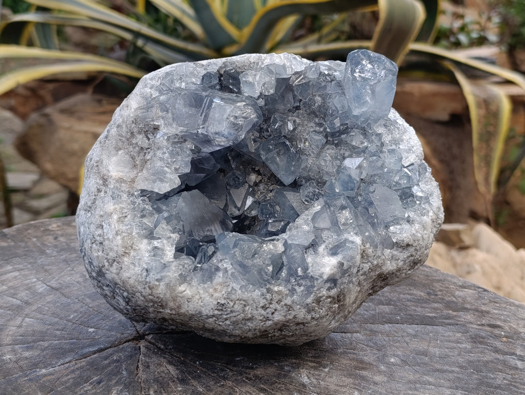 Natural Celestite Geode Specimens x 1 From Sakoany, Madagascar - Toprock Gemstones and Minerals 