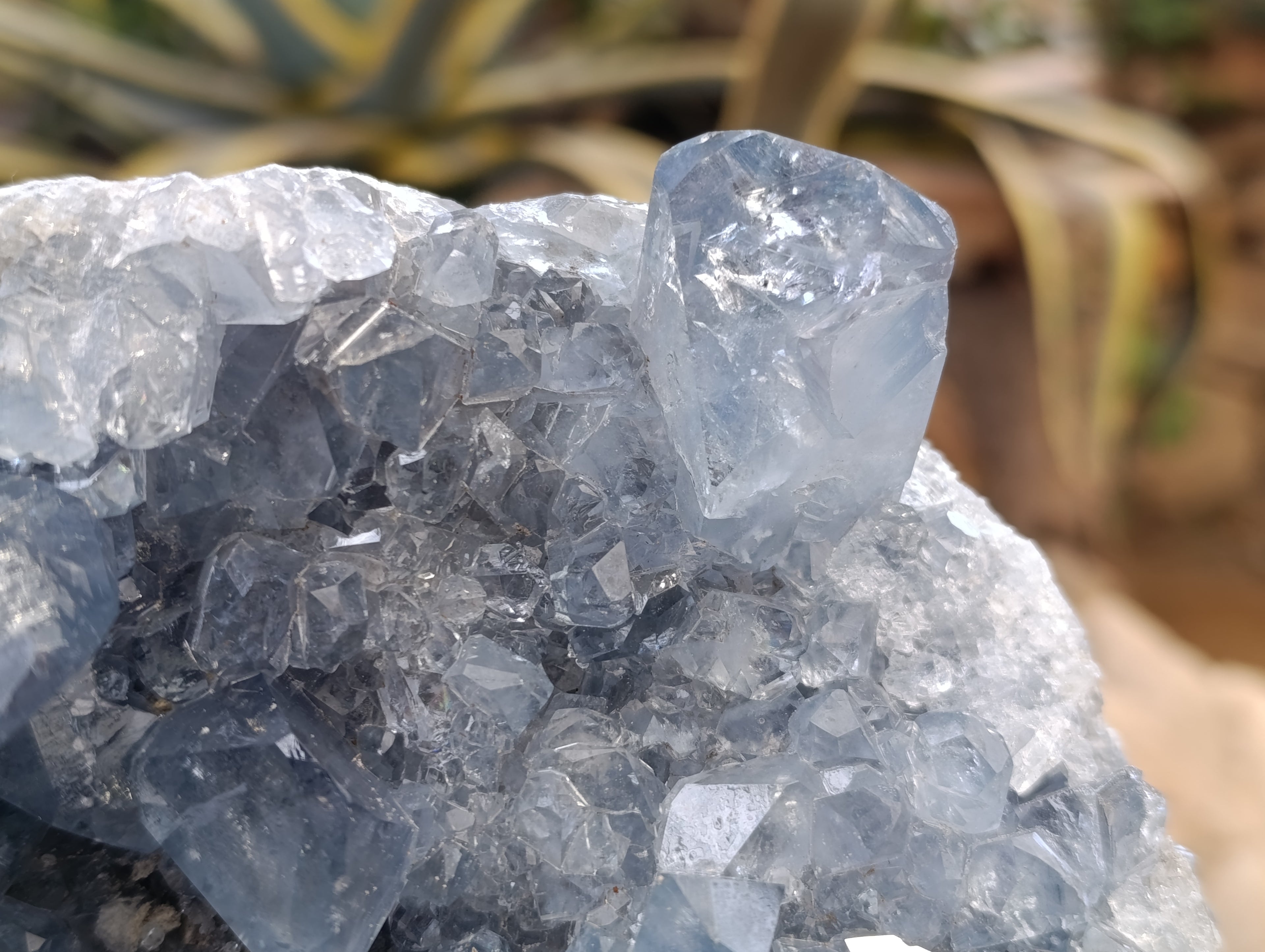 Natural Celestite Geode Specimens x 1 From Sakoany, Madagascar - Toprock Gemstones and Minerals 