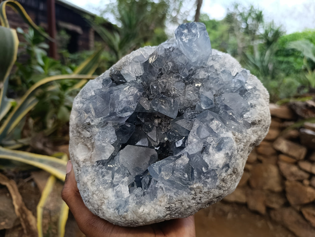 Natural Celestite Geode Specimens x 1 From Sakoany, Madagascar - Toprock Gemstones and Minerals 
