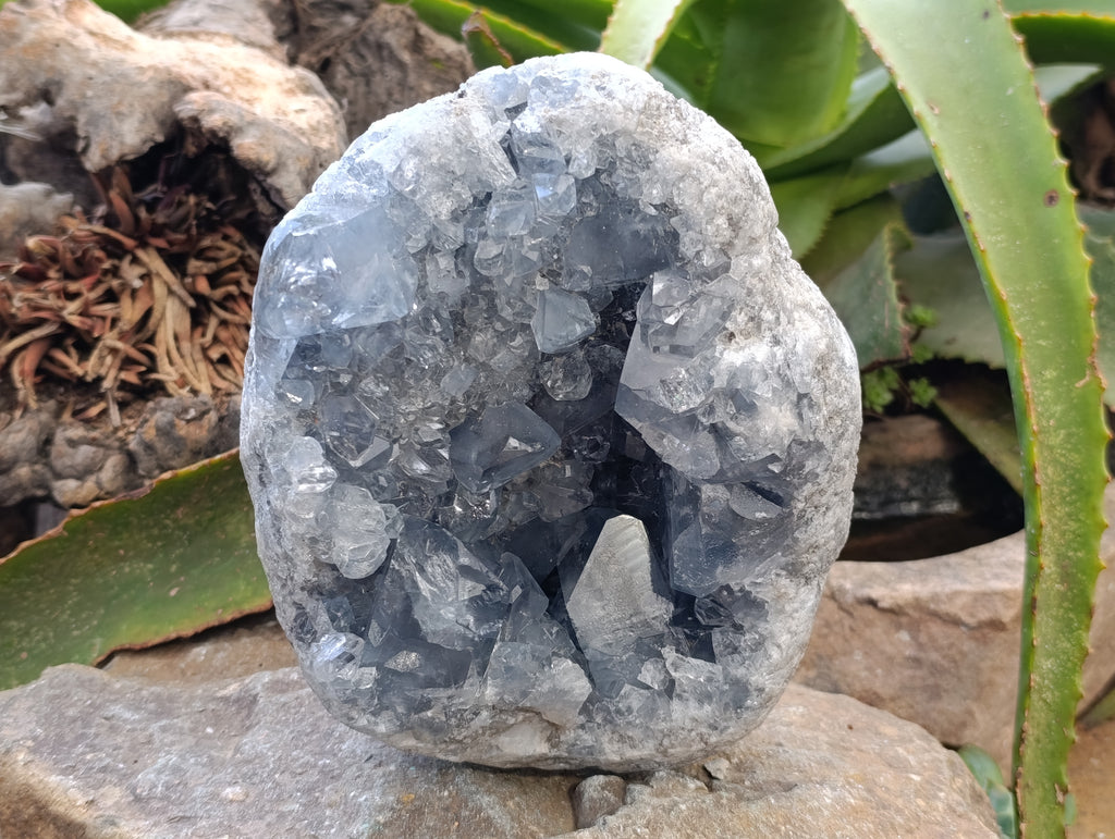 Natural Celestite Geode Specimens x 1 From Sakoany, Madagascar - Toprock Gemstones and Minerals 