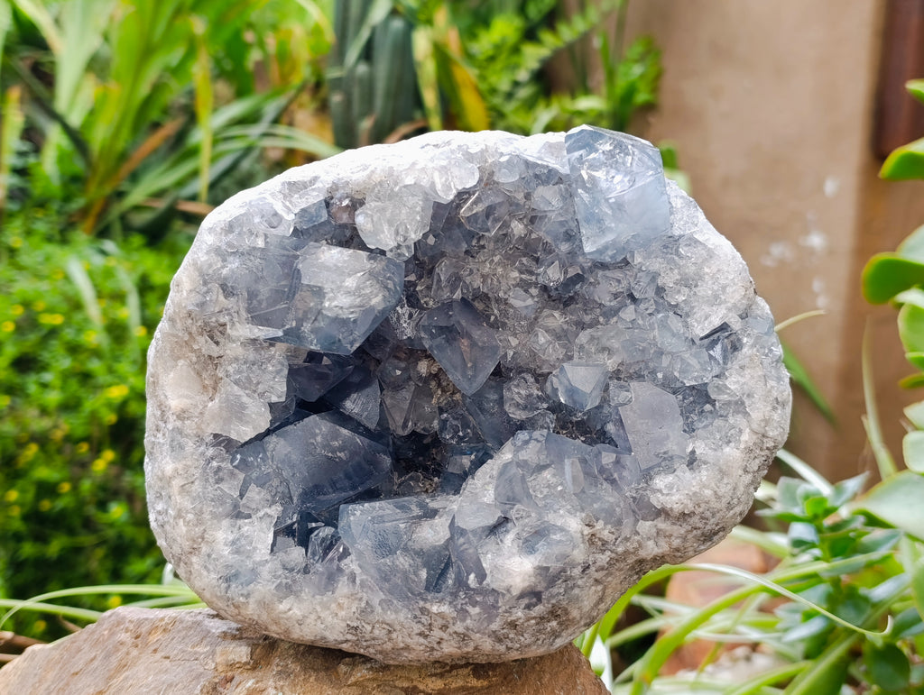 Natural Celestite Geode Specimens x 1 From Sakoany, Madagascar - Toprock Gemstones and Minerals 