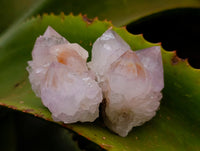 Natural Amethyst Spirit Quartz Clusters x 12 From Boekenhouthoek, South Africa