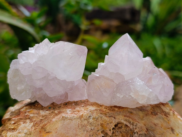 Natural Amethyst Spirit Quartz Clusters x 12 From Boekenhouthoek, South Africa