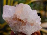 Natural Amethyst Spirit Quartz Clusters x 12 From Boekenhouthoek, South Africa