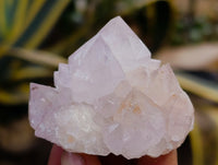 Natural Amethyst Spirit Quartz Clusters x 12 From Boekenhouthoek, South Africa