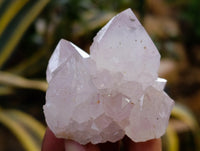 Natural Amethyst Spirit Quartz Clusters x 12 From Boekenhouthoek, South Africa